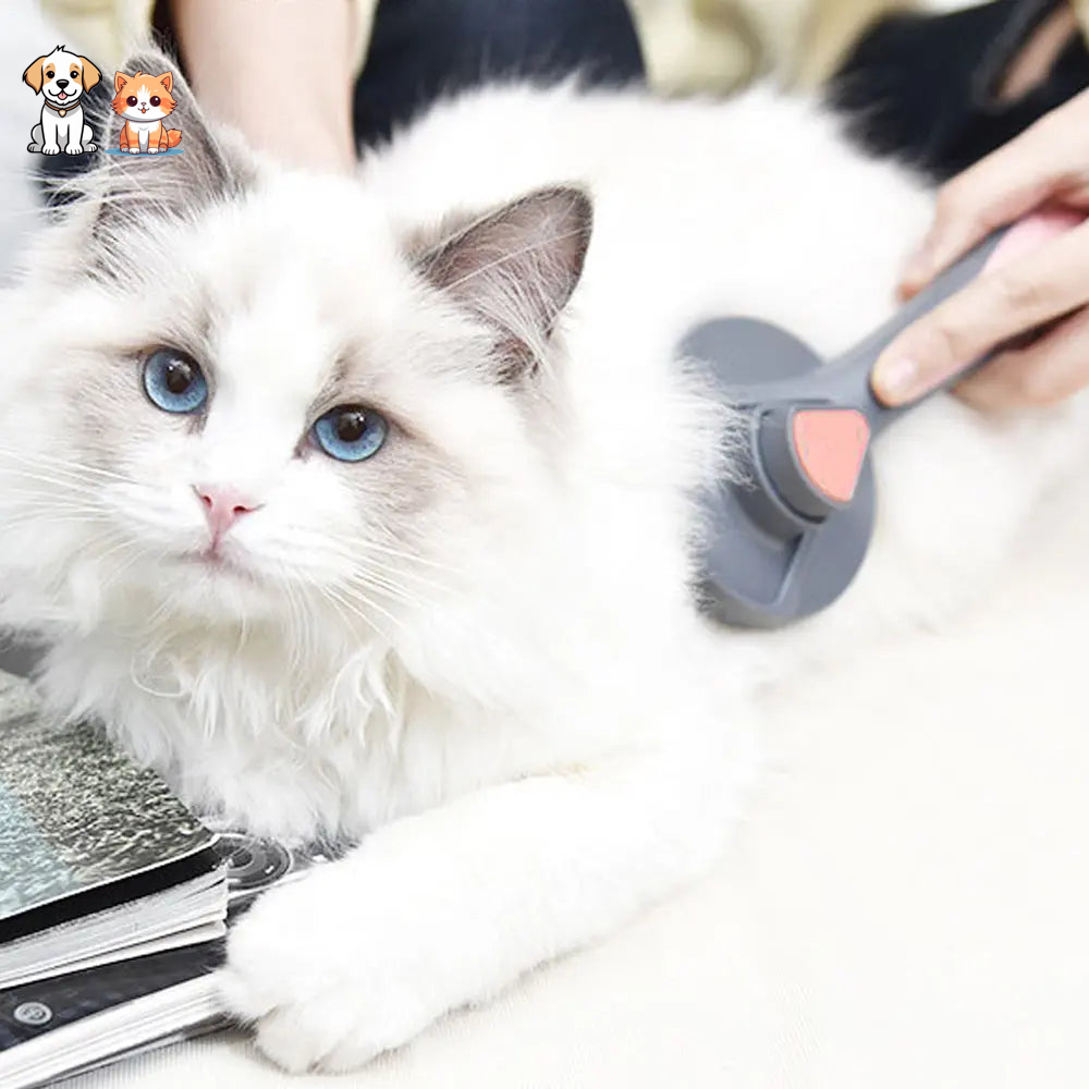 Grooming brush with stainless steel button for cats