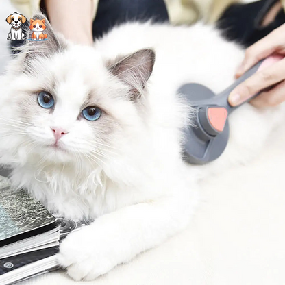 Grooming brush with stainless steel button for cats