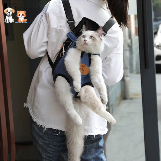 Cat carrying backpack in several colors