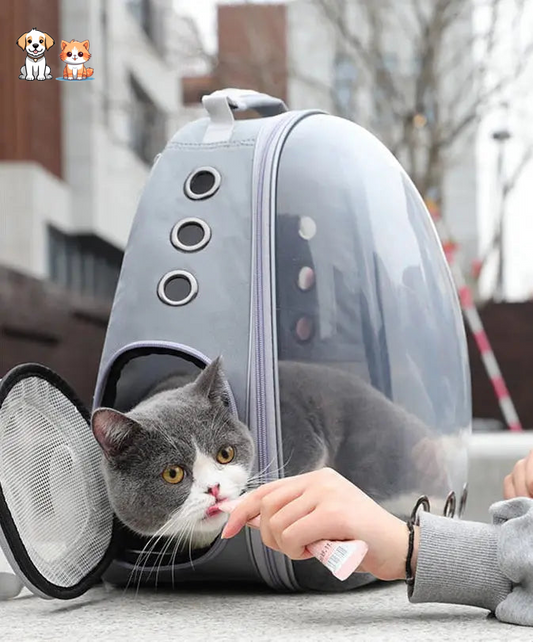 Cat carrying backpack with transparent window