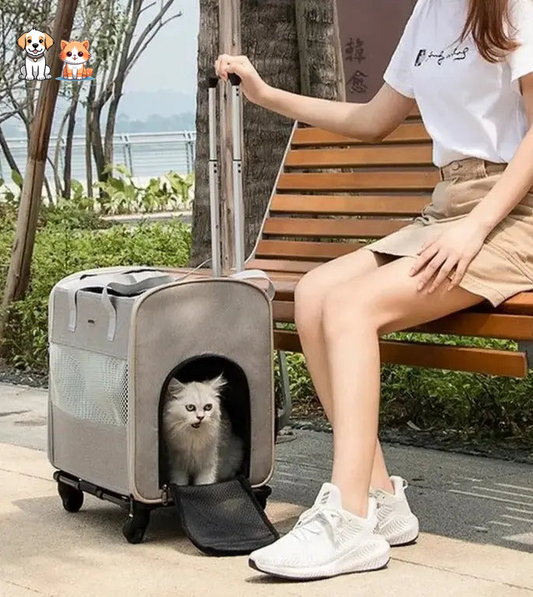 Portable telescopic wheeled cat bag