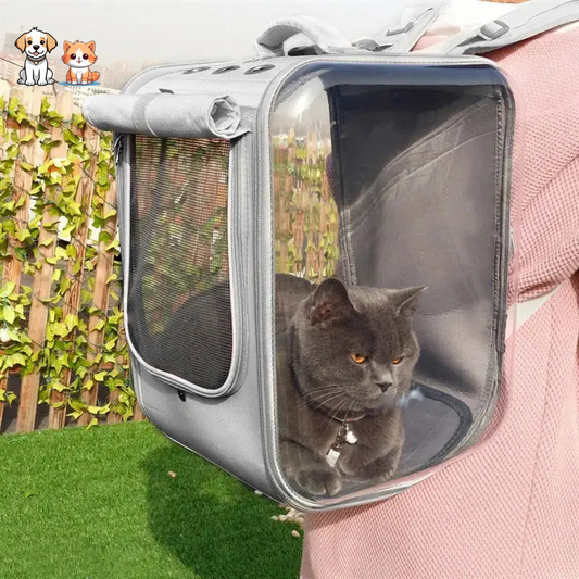 Spacious square cat carrying backpack