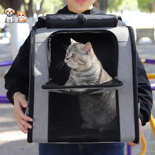 Shoulder cat carrier bag