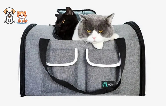 Portable Cat Shoulder Travel Bag
