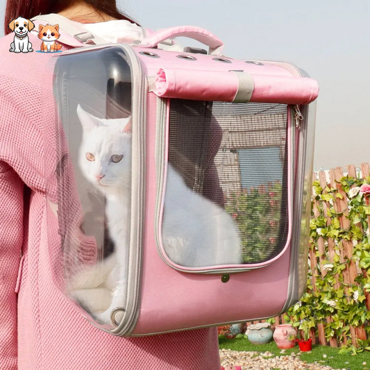Portable and breathable cat backpack