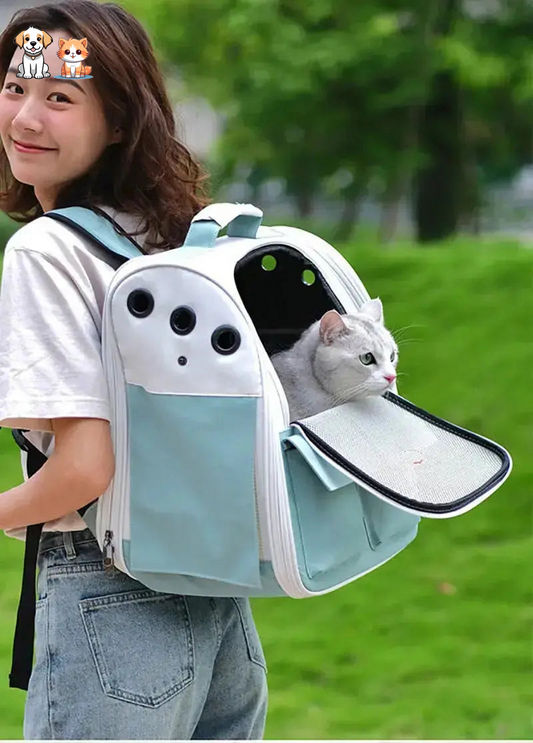 Green foldable and ventilated cat backpack