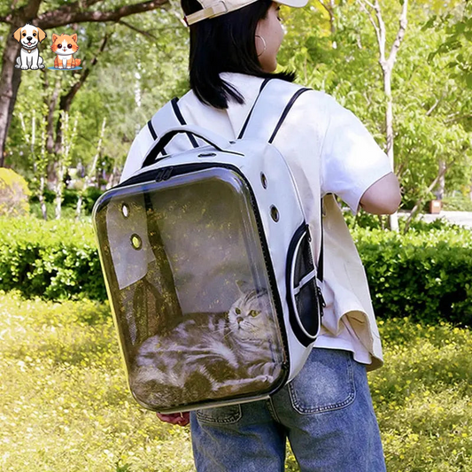 Square cat carrying backpack