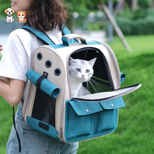 Blue foldable and ventilated cat backpack