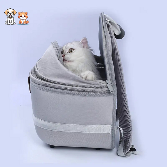 Portable and breathable cat backpack