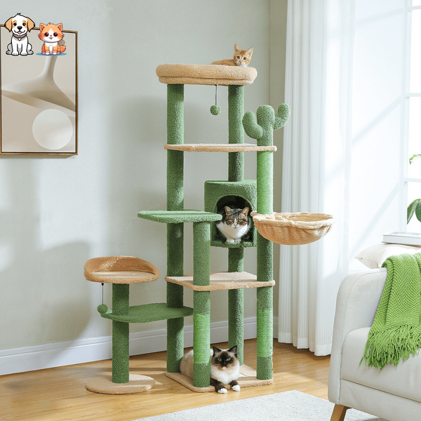 Arbres à chat