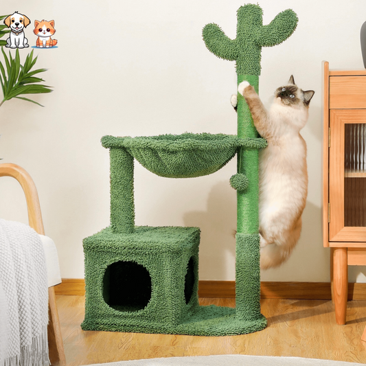 Le Grand Cactus