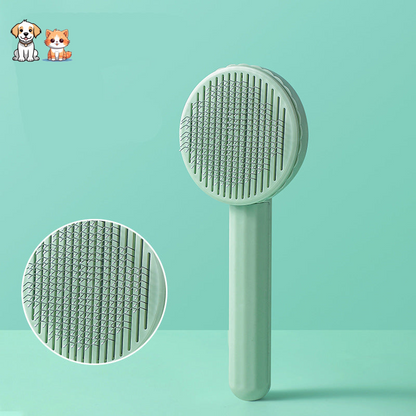 La brosse cactus