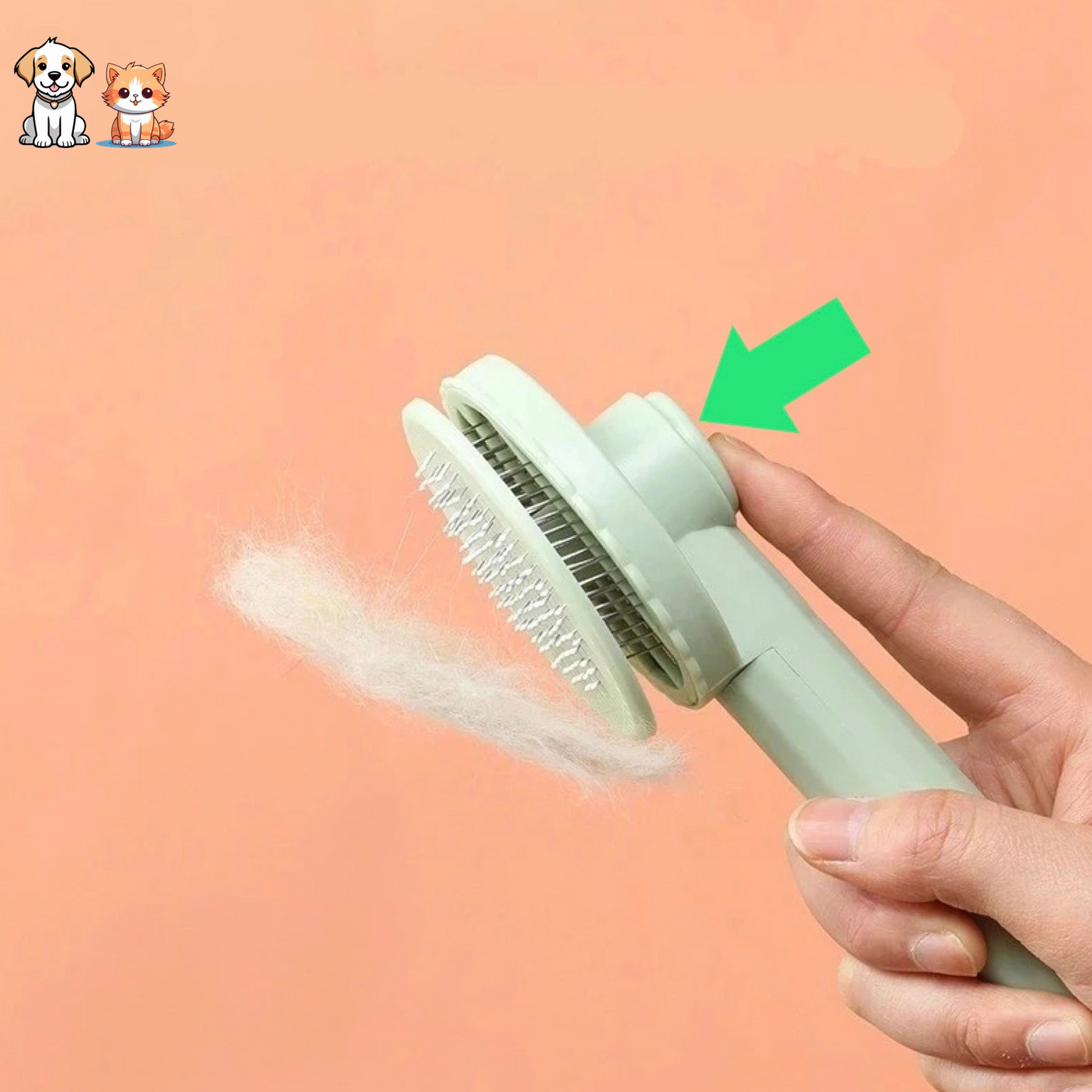 La brosse cactus