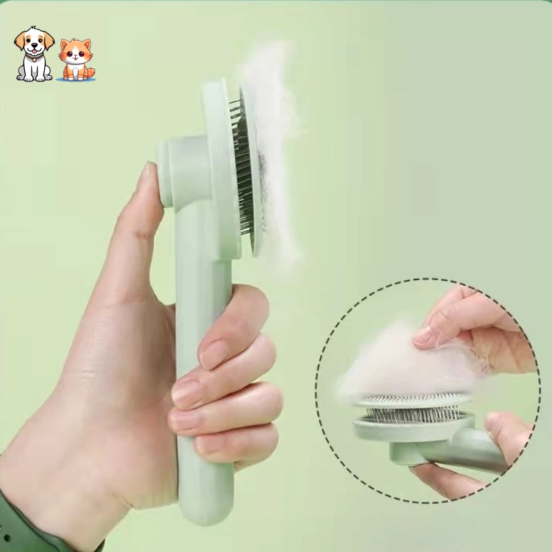 La brosse cactus