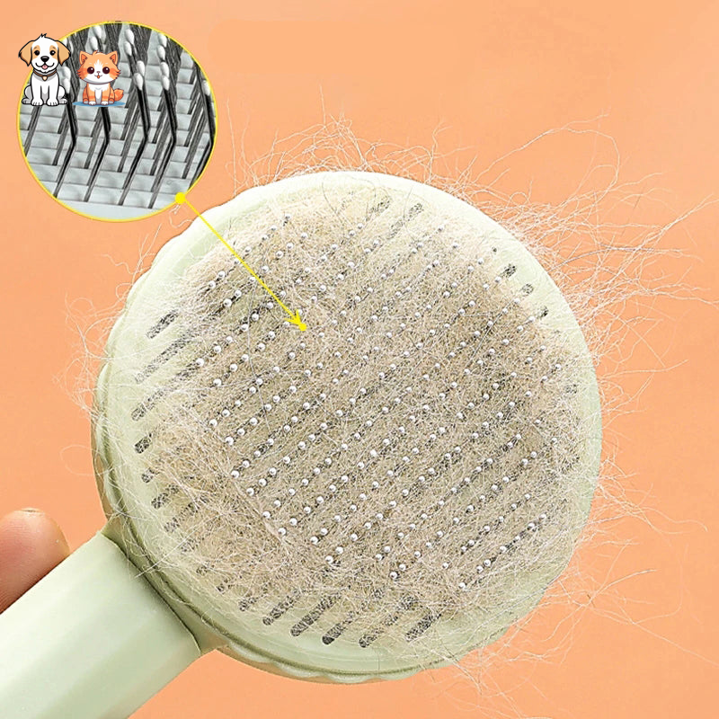 La brosse cactus
