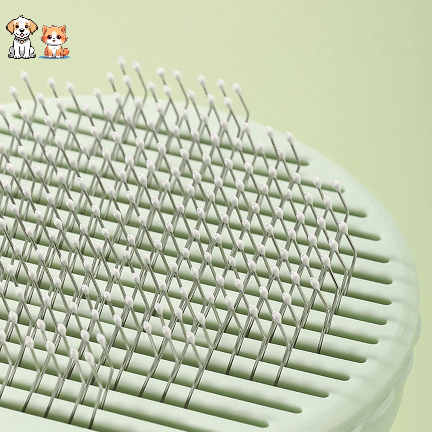 La brosse cactus
